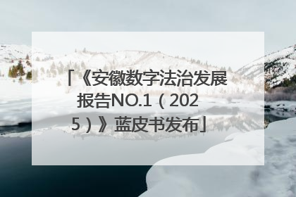 《安徽数字法治发展报告NO.1（2025）》蓝皮书发布