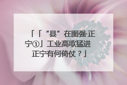 「“县”在图强·正宁①」工业高歌猛进 正宁有何倚仗？