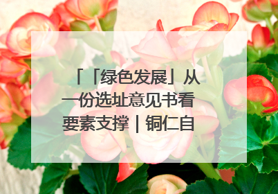 「绿色发展」从一份选址意见书看要素支撑｜铜仁自然资源部门精准服务助力项目落地