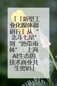 「新型工业化媒体调研行」从“北斗七星”到“热带雨林”：上海AI生态的技术商业共生密码