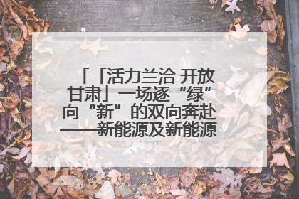 「活力兰洽 开放甘肃」一场逐“绿”向“新”的双向奔赴——新能源及新能源装备制造产业投资发展对接活动扫描