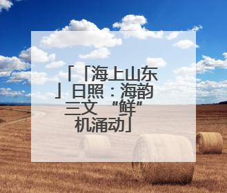 「海上山东」日照：海韵三文 “鲜”机涌动