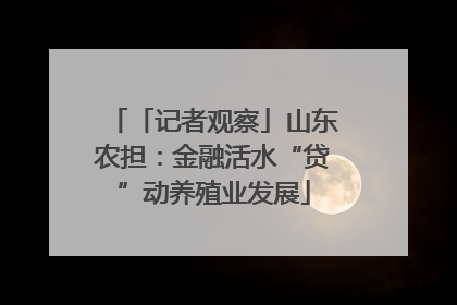 「记者观察」山东农担：金融活水“贷”动养殖业发展