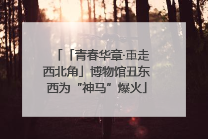 「青春华章·重走西北角」博物馆丑东西为“神马”爆火