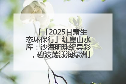 「2025甘肃生态环保行」红崖山水库：沙海明珠绽异彩，碧波荡漾润绿洲