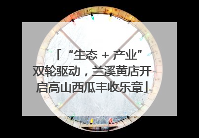 “生态 + 产业”双轮驱动，兰溪黄店开启高山西瓜丰收乐章