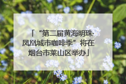 “第二届黄海明珠·凤凰城市咖啡季”将在烟台市莱山区举办