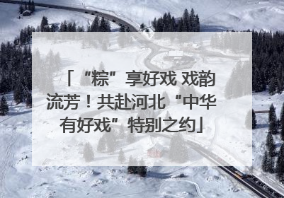 “粽”享好戏 戏韵流芳！共赴河北“中华有好戏”特别之约