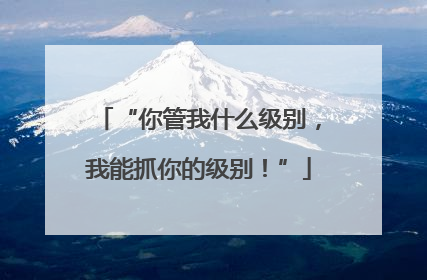 “你管我什么级别，我能抓你的级别！”
