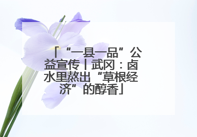 “一县一品”公益宣传丨武冈：卤水里熬出“草根经济”的醇香