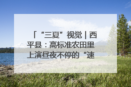 “三夏”视觉｜西平县：高标准农田里上演昼夜不停的“速度与激情”