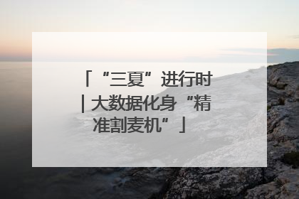 “三夏”进行时｜大数据化身“精准割麦机”