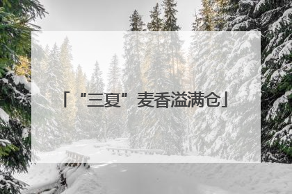 “三夏”麦香溢满仓