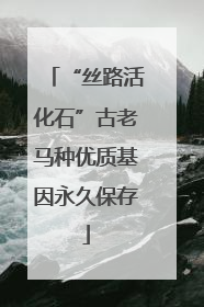“丝路活化石”古老马种优质基因永久保存