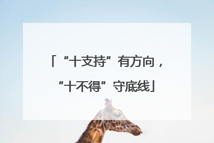 “十支持”有方向，“十不得”守底线