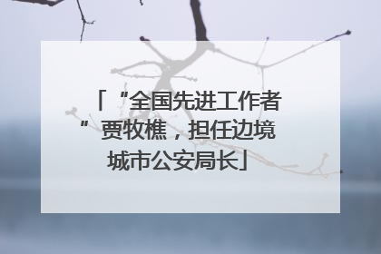 “全国先进工作者”贾牧樵，担任边境城市公安局长