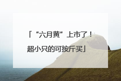 “六月黄”上市了！超小只的可按斤买