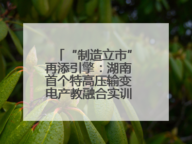 “制造立市”再添引擎：湖南首个特高压输变电产教融合实训基地在衡落户