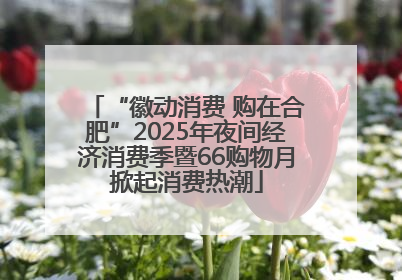 “徽动消费 购在合肥”2025年夜间经济消费季暨66购物月掀起消费热潮