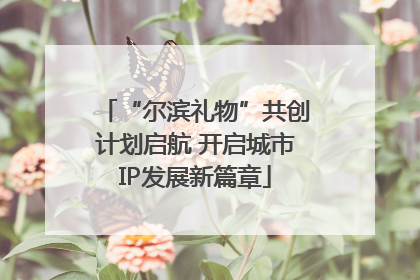 “尔滨礼物”共创计划启航 开启城市IP发展新篇章