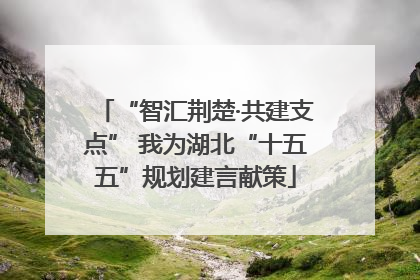 “智汇荆楚·共建支点” 我为湖北“十五五”规划建言献策