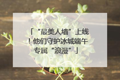 “最美人墙”上线！他们守护冰城端午专属“浪漫”