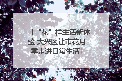 “花”样生活新体验 大兴区让市花月季走进日常生活