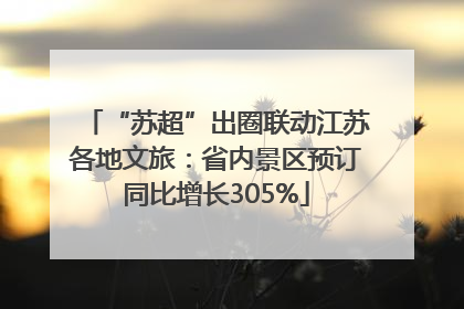 “苏超”出圈联动江苏各地文旅：省内景区预订同比增长305%
