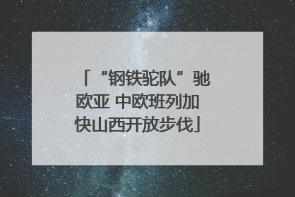 “钢铁驼队”驰欧亚 中欧班列加快山西开放步伐