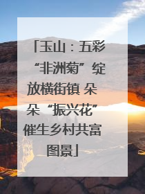 玉山：五彩“非洲菊”绽放横街镇 朵朵“振兴花”催生乡村共富图景