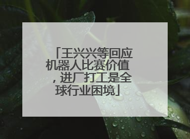 王兴兴等回应机器人比赛价值，进厂打工是全球行业困境