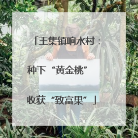 王集镇响水村：种下“黄金桃” 收获“致富果”