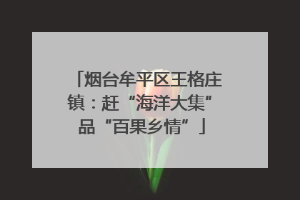 烟台牟平区王格庄镇：赶“海洋大集” 品“百果乡情”