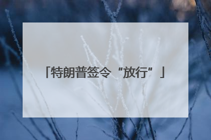 特朗普签令“放行”