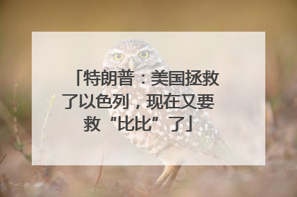 特朗普：美国拯救了以色列，现在又要救“比比”了