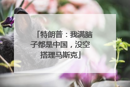 特朗普：我满脑子都是中国，没空搭理马斯克