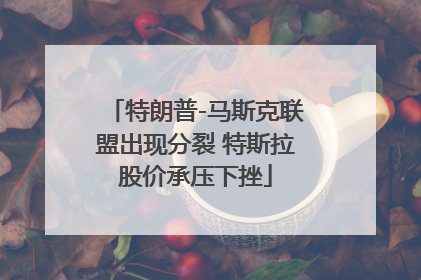 特朗普-马斯克联盟出现分裂 特斯拉股价承压下挫