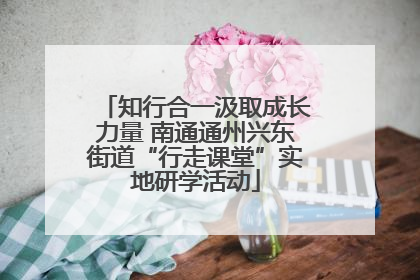 知行合一汲取成长力量 南通通州兴东街道“行走课堂”实地研学活动