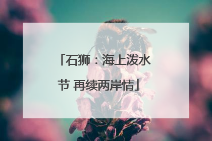 石狮：海上泼水节 再续两岸情