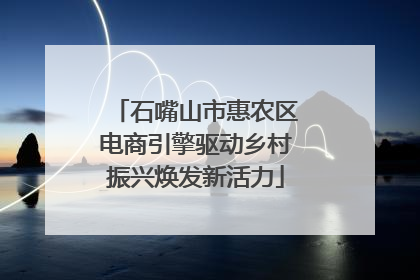 石嘴山市惠农区电商引擎驱动乡村振兴焕发新活力