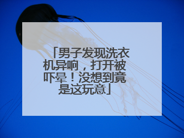 男子发现洗衣机异响，打开被吓晕！没想到竟是这玩意