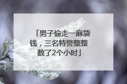 男子偷走一麻袋钱，三名特警整整数了2个小时