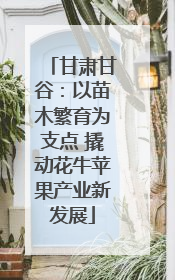 甘肃甘谷：以苗木繁育为支点 撬动花牛苹果产业新发展