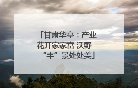 甘肃华亭：产业花开家家富 沃野“丰”景处处美