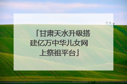 甘肃天水升级搭建亿万中华儿女网上祭祖平台