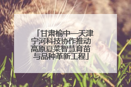 甘肃榆中—天津宁河科技协作推动高原夏菜智慧育苗与品种革新工程