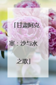 甘肃阿克塞：沙与水之歌