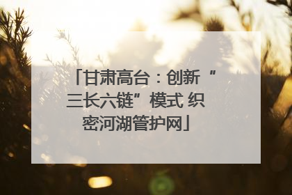 甘肃高台：创新“三长六链”模式 织密河湖管护网
