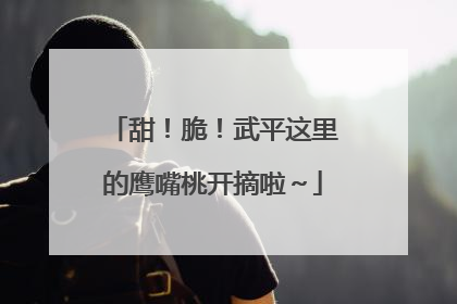 甜！脆！武平这里的鹰嘴桃开摘啦～