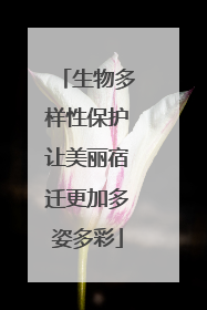 生物多样性保护让美丽宿迁更加多姿多彩